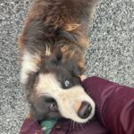 Malinda Kathleen Reese Instagram – Ireland dump part 1 ❤️🇮🇪