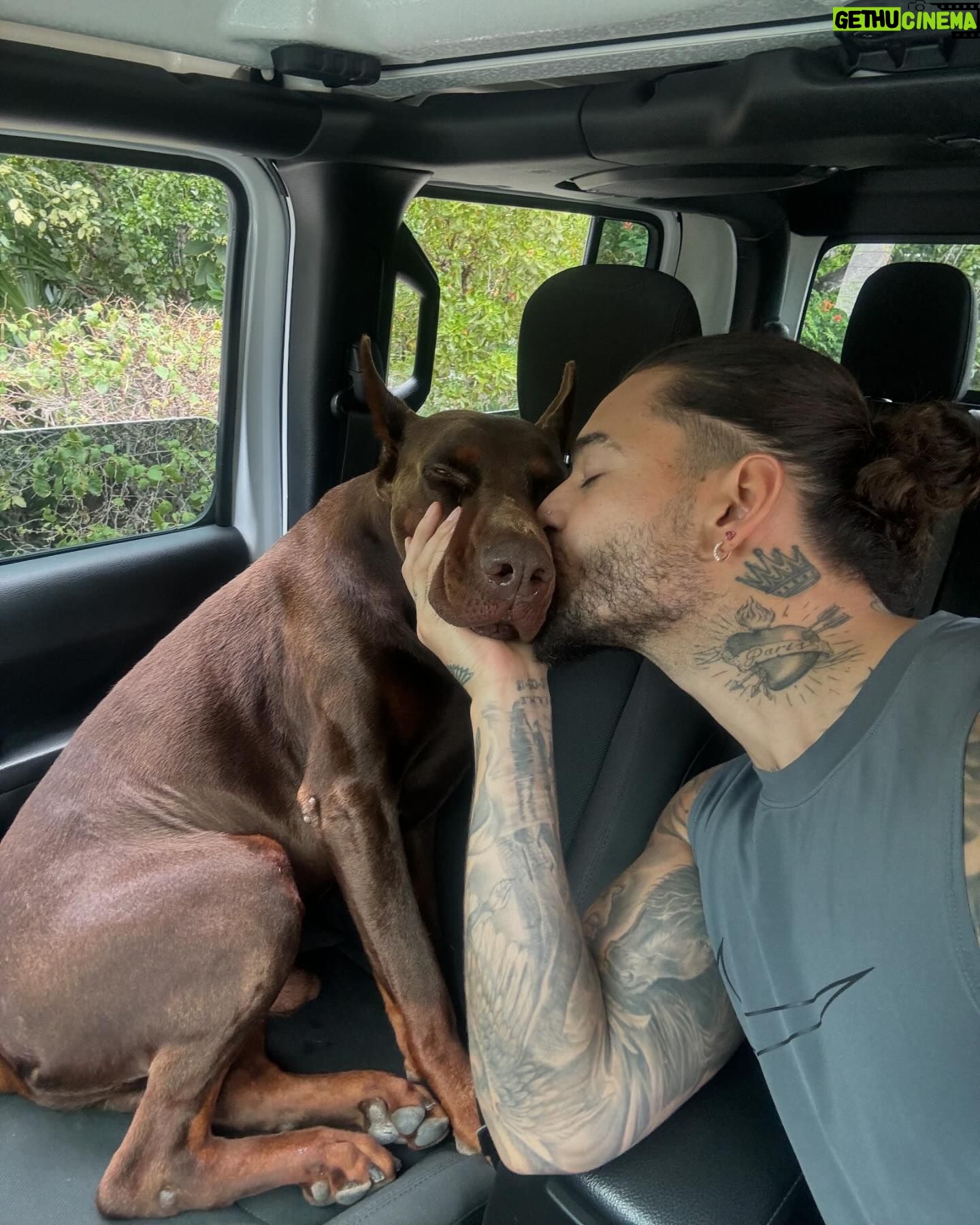 Maluma Instagram - Juan Luis hace dos años vivía el mejor momento de su vida, hoy se repite 💘 — Se imaginan el próximo “MEDALLO EN EL MAPA” ya con la Baby a bordo??? 🥹 Pa’ cuando pues?? Ustedes mandan!! 💜🏟️