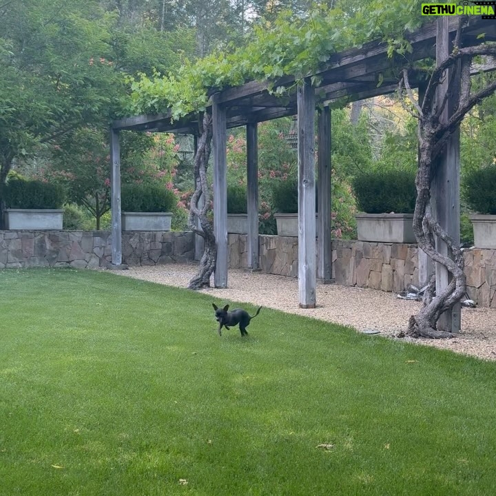 Mamrie Hart Instagram - Happiness is wine with your girlfriends, perfectly curated snacks, and being shown the wild ass things they see on dating sites. 😛 Video of Beanz doing her best pointer breed as a palate cleanser. A palate cleanser sounds like this guy’s worst nightmare.