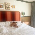 Mamrie Hart Instagram – The @thehighballhouse was booked, so we booked it to the @lifehousehotels in Palm Springs for a little writing reTREAT. I’m loving the cocktails but it appears Beanz is appreciating the comfy bed.