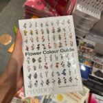 Manasaporn Chanchalerm Instagram - dump dump dump