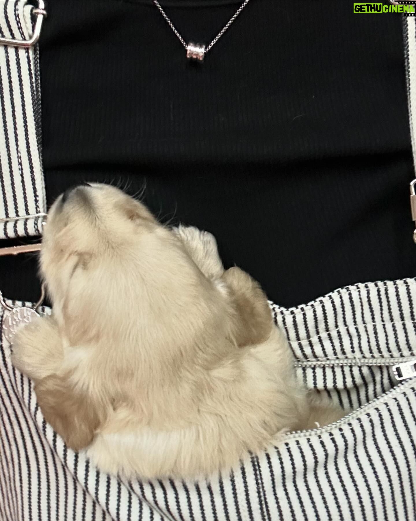Manasaporn Chanchalerm Instagram - dump dump dump