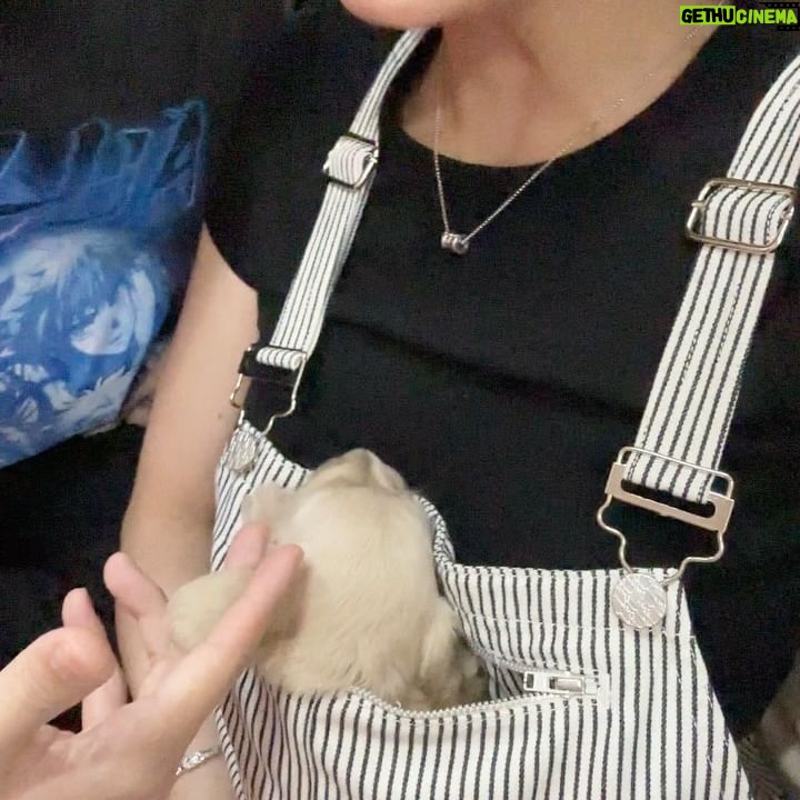 Manasaporn Chanchalerm Instagram - dump dump dump