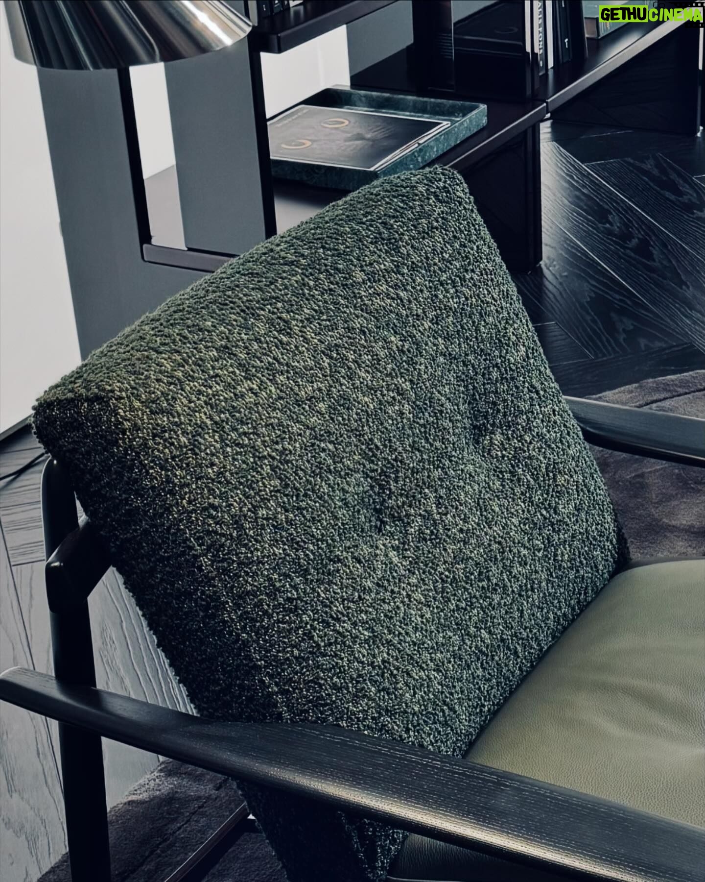 Mandana Karimi Instagram - @minotti_spa 2024 @isaloniofficial was Seventies style, olive green, beige, white, pony leather colour style, rounded soft shapes into contained volumes.