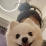 Mandy Wong Instagram - 佢地都係Friday Mood🐶🐶🌻 #HappyFriday #haveaniceweekend❤️