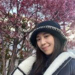 Mandy Wong Instagram - 千辛萬苦，終於比我捕捉到一棵早開嘅櫻花🌸🫣 唯有食番杯限量版櫻花雪糕，感受下盛開的Sakura~
