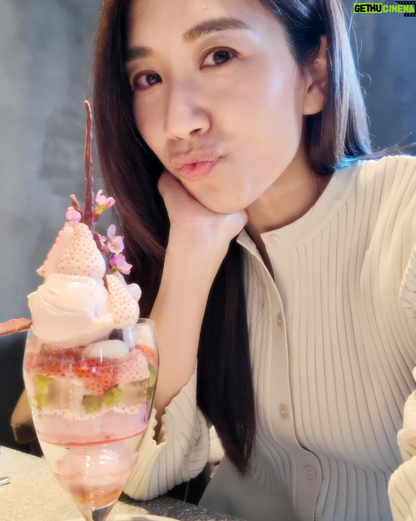 Mandy Wong - 9.9K Likes - 千辛萬苦,終於比我捕捉到一棵早開嘅櫻花🌸🫣
唯有食番杯限量版櫻花雪糕,感受下盛開的Sakura~