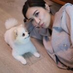 Mandy Wong Instagram - 好耐無同呢粒糯米糍Mochi合照，終於肯望鏡頭啦🫣🥹🙏🏻 🐶有人話我哋越嚟越似樣😯