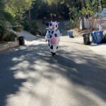 Manny MUA Instagram – moooooooove bi*ch 🐮
