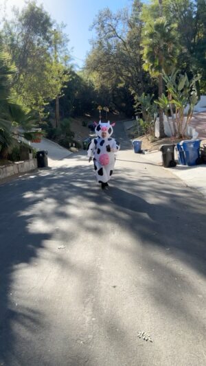 Manny MUA Instagram - moooooooove bi*ch 🐮