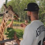 Manuel Turizo Instagram – En Madagascar preguntándole a Melman cuando sacamos el álbum