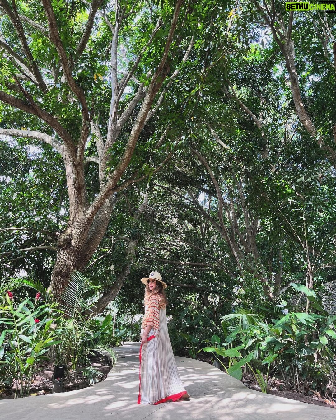 Manuela González Instagram - Momentos para recordar Por siempre 💫♥️ 1. En medio de un paraíso en Palomino 2. Recordatorio de que amarnos da buen resultado 3. Caminando juntos, llegamos más lejos! 4. Pedro y su rehabilitación de libélulas 5. Las conversaciones de Alma con Juana sobre sus cocadas 6. El hombre más guapo del mundo y yo la mujer más afortunada! 7. De todos los atardeceres, este el más lindo 8. Una noche para nosotros 9. Que vivan las amigas! 10. Empezar este 2024 juntos, qué regalo!