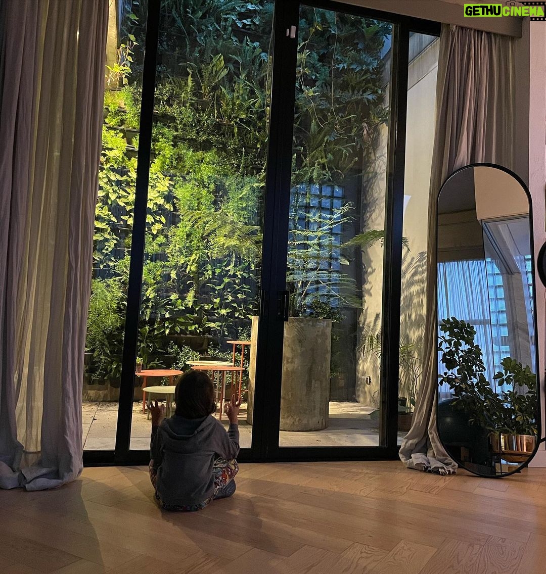Manuela González Instagram - Pedro en modo contemplativo en su hogar… 🌱🌿🍃🐉 Hace unos días hice un ejercicio muy bonito con Pedro. Le puse música con frecuencia de 528Hz , la cual tiene propiedades maravillosas (los invito a buscar info al respecto!) para ver cómo reaccionaba. Le dije Pedro has lo que sientas! Y se puso a observar el jardín y luego buscó distintas posiciones de yoga, respiró por un rato y media hora más tarde se quedó absolutamente profundo. Que belleza haber sido testigo de esta conexión tan profunda 💫 #PedroMiHermoso #528hz #sanación #MusicaQueTransforma #NiditoVascoGonzalez