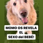 María Castro Instagram – Y lo que vendrá para COMPLETAR la locura y la familia numerosa es……