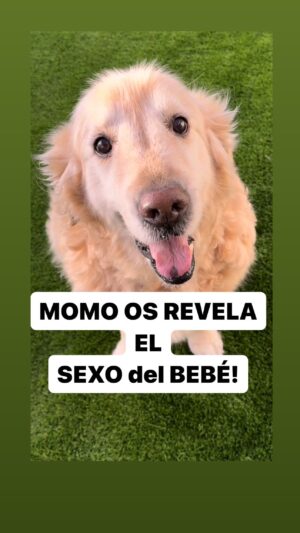 María Castro Instagram - Y lo que vendrá para COMPLETAR la locura y la familia numerosa es……