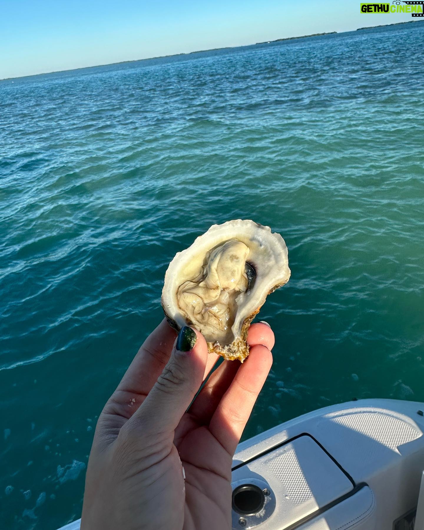 María Elisa Camargo Instagram – Escapishhh 🍰🦪🐓 #BrainDamage #SaltyDog