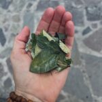 María Fernanda Yépes Instagram - Y así se pasó Septiembre… Entre montañas, colores, tradiciones, atardeceres, fueguitos, silencio, Paz, medicina y mucho amor. Un viaje al lugar más importante de todos… un viaje a mi interior🤍 GRACIAS Perú te llevo en mi corazón. Cuál sería ese viaje que tienes pendiente hacer? Te leo…