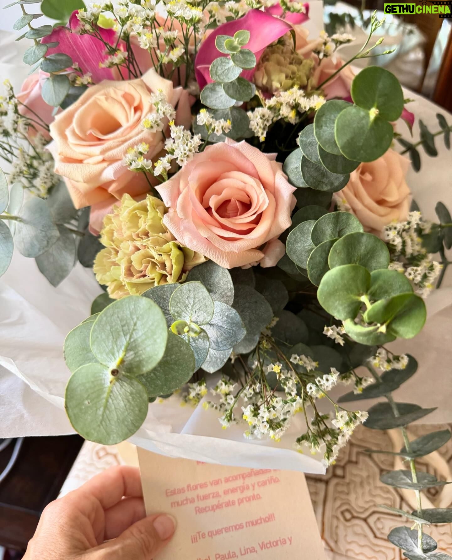 María Fernanda Yépes Instagram - Y así despido este mes de Febrero… Donde para mí fue como una montaña rusa de emociones. Morí… Nací … Dejé atrás un dolor.. Lo quemé, lo solté y lo transformé en flores, aprendizajes y colores 🌈✨ y volví a sonreír…. POR QUE LA VIDA EMPIEZA MUCHAS VECES!!!! Y tú? Como despides este mes?