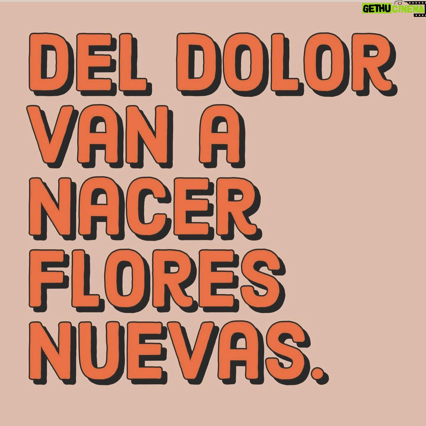 María Fernanda Yépes Instagram - Agradezco a las tormentas por que me han hecho floreSER y a todas las personas que han estado presentes y pendientes de mi recuperación🦋🌈❤️🩹 GRACIAS Ya han pasado dos semanas de mi operación y es hermoso ver como el cuerpo sabe sanar… somos una máquina perfecta de la creación✨