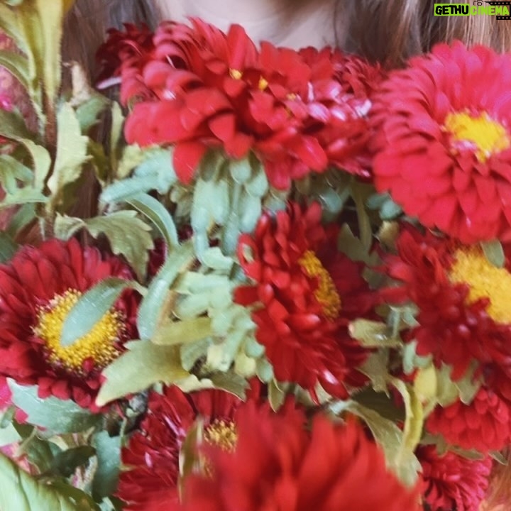 María Fernanda Yépes Instagram - Agradezco a las tormentas por que me han hecho floreSER y a todas las personas que han estado presentes y pendientes de mi recuperación🦋🌈❤️🩹 GRACIAS Ya han pasado dos semanas de mi operación y es hermoso ver como el cuerpo sabe sanar… somos una máquina perfecta de la creación✨