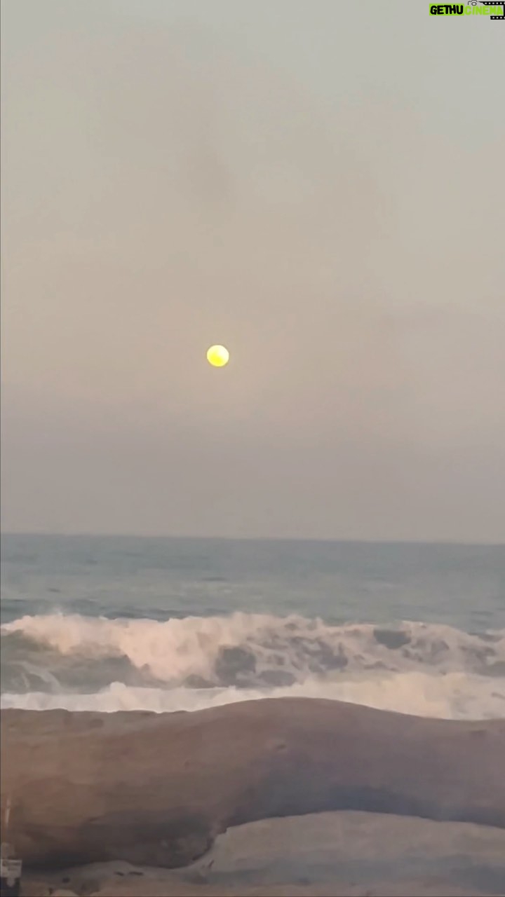 María Fernanda Yépes Instagram - Primera Luna llena del año … Amigos, risas … Un perrito bonito… Y un fueguito frente al mar Pa’ Que Mas!!! 🌴 Y esta reina de la sierra @toyamontoya 🫶🏻🤍 felicidad total!!!!! #thisisliving @coronacolombia_