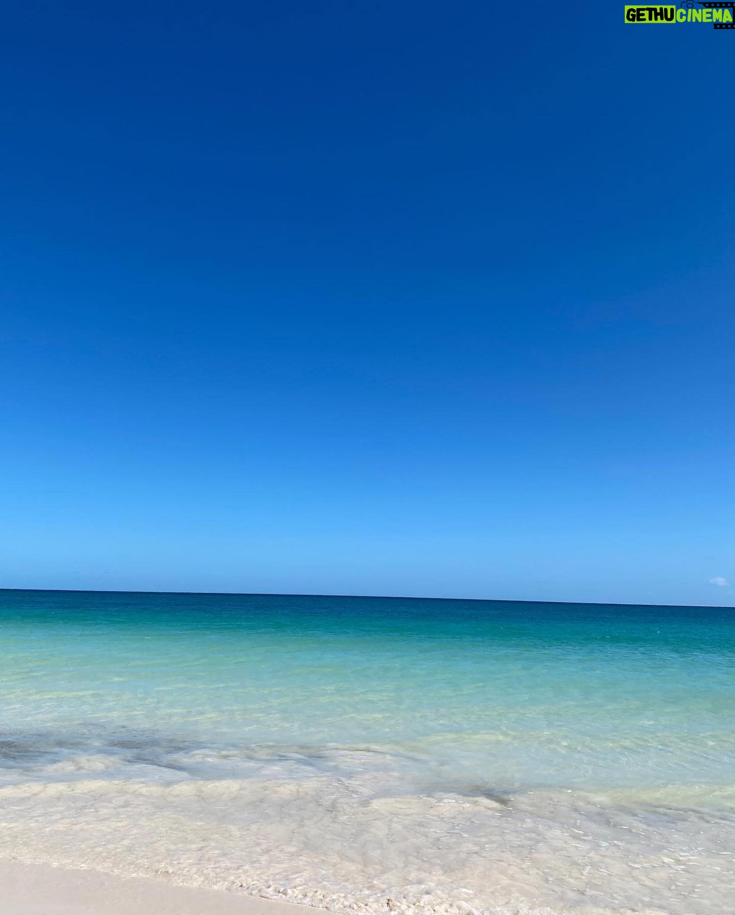 María Fernanda Yépes Instagram - Querida madre tierra: Te escribe una integrante más de este planeta, de esta casa hermosa en la que todos cabemos. Gracias por sostenernos con tanto amor. Por darnos todo para vivir. Por tu infinito Oceano, por el agua, Rios, montañas, desiertos, atardeceres de mil colores y noches llenas de estrellas. Eres el lugar más lindo que conozco. Tod@ tu eres inmensa, amorosa, fértil, generosa. Perdónanos por no saberte cuidar. Te prometo de mi parte honrarte todo lo que pueda, intentaré dentro de lo que está en mis posibilidades y desde mi pequeña trinchera honrarte siempre y respetarte con mis pequeñas acciones en pro de generarte menos carga de la que ya tienes. Prometo Intentar caminar por el camino de la coherencia el respeto y la conciencia en pro de cuidarte. Y cuidarme también por que si yo transformo mis hábitos y mi paso x esta existencia podré alivianarte un poquito tu peso. Gracias Madre bella. Hoy quería escribirte esta carta de Amor. Por que hoy es tu día que en realidad son todos los días. Gracias madre tierra por ser nuestra gran maestra. Feliz cumpleaños ✨💙🌏 Y tu, hoy que le dirías y harías por esta tierra? #22abrildiadelatierra
