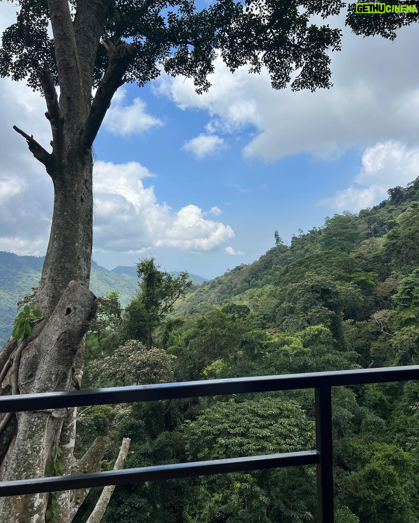 María Fernanda Yépes Instagram - Como diría mi amiga @marcelamar07 “cuando hay propósito, todo cobra sentido” Un photo dump de estos días hermosos donde todo empieza a cobrar sentido. Les cuento que parece que esta costa caribe colombiana me esta adoptando… y déjenme decirles que me estoy dejando. ✨🤍🫶🏻