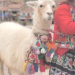 María Fernanda Yépes Instagram - Se sigue reafirmando en mi vida la belleza de continente en el que vivimos los sudamericanos. Un territorio con culturas ancestrales vivas, llenas de conocimiento y tradición. Cuidemos la diversidad en todas sus formas. Son riquezas intangibles que no podemos perder. Que lindo ser latinoamericano, que privilegiados somos los que nacimos en esta cordillera de Los Andes❤️GRACIAS PERU por regalarnos tanta magia, paz y medicina✨ 🇵🇪 Levanta la mano si eres latinoamericano🙋🏻‍♀️ y cómo yo estás orgulloso de haber nacido en este territorio!!! #perú #vallesagradodelosincas