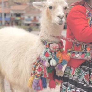 María Fernanda Yépes Instagram - Se sigue reafirmando en mi vida la belleza de continente en el que vivimos los sudamericanos. 

Un territorio con culturas ancestrales vivas, llenas de conocimiento y tradición.

Cuidemos la diversidad en todas sus formas. Son riquezas intangibles que no podemos perder.

Que lindo ser latinoamericano, que privilegiados somos los que nacimos en esta cordillera de Los Andes❤️GRACIAS PERU por regalarnos tanta magia, paz y medicina✨ 🇵🇪 

Levanta la mano si eres latinoamericano🙋🏻‍♀️ y cómo yo estás orgulloso de haber nacido en este territorio!!!

#perú #vallesagradodelosincas