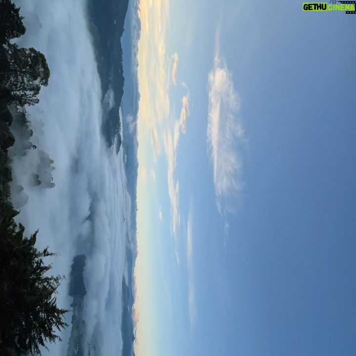 María Fernanda Yépes Instagram - Un recuento en 10 fotos de lo que fue esta semana en el bootcamp digital del @elsiliconvalley 1. De las cosas más especial de este lugar(la vista a la represa de la Fe) 2. Los amaneceres en la montaña sagrada(video cortesía de mi querido @sebatobonsa ) 3. Después de nuestra sesión de yoga de cada mañana. Recibir un mimo de @tincho.prz y su monochr, seguido de las reflexiones de @danieltirado 4. Levantarse hacer yoguita con esta vista es otro nivel. 5. Aquí con el genio y creador de este lugar tan especial. @danieltirado GRACIAS por esta tremenda experiencia!!!! 6. Dani además de ser un visionario, viajero, buscador… ha escrito 2 libros inspirando con sus historias y aventuras. 7. Los compañeros que llevaré en el corazón!!! Gracias por su linda energía de todos me llevo algo muy valioso. 8. Las señoras de la cocina que con tanto amorcito y cariño nos cocinaron cada día. 9. Presumiendo mi diploma de graduación del boot camp intensivo de 7 días de emprendimiento digital. 10. Y esta la perla del viaje… cuando un grupo de emprendedores sale a celebrar su graduación y casi es atropellado por un camión a altas horas de la noche en la calle🫣😅(todo sea por la toma del video) ver hasta el final. GRACIAS a todos los profesores y personas que hacen de este entrenamiento y de la montaña sagrada un lugar único y una experiencia que vale toda la pena vivir!!!!! #elsiliconvalley #medellin #emprendimientodigital📶💯
