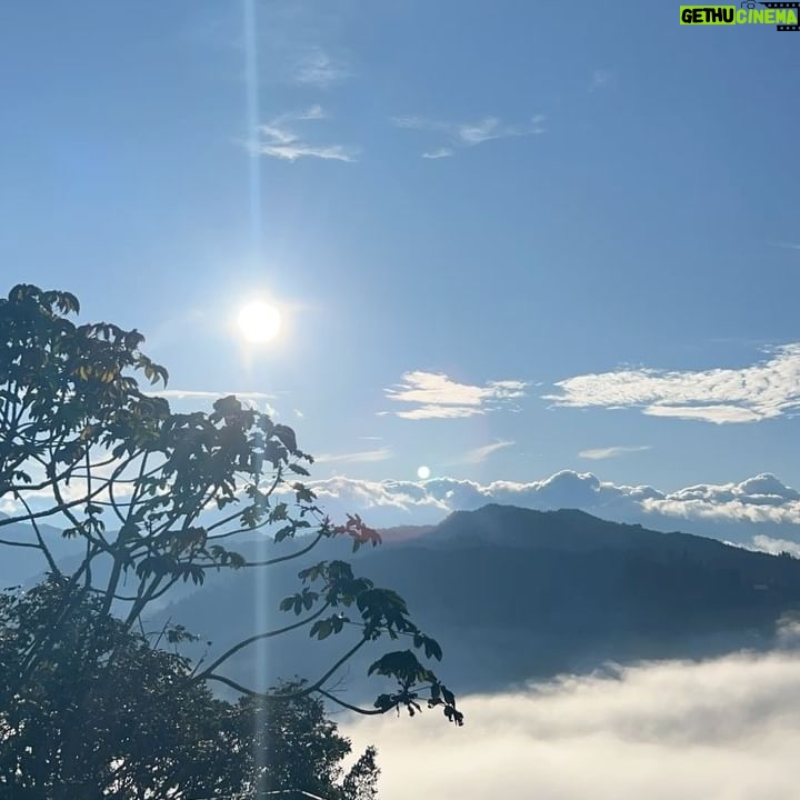 María Fernanda Yépes Instagram - Un recuento en 10 fotos de lo que fue esta semana en el bootcamp digital del @elsiliconvalley 1. De las cosas más especial de este lugar(la vista a la represa de la Fe) 2. Los amaneceres en la montaña sagrada(video cortesía de mi querido @sebatobonsa ) 3. Después de nuestra sesión de yoga de cada mañana. Recibir un mimo de @tincho.prz y su monochr, seguido de las reflexiones de @danieltirado 4. Levantarse hacer yoguita con esta vista es otro nivel. 5. Aquí con el genio y creador de este lugar tan especial. @danieltirado GRACIAS por esta tremenda experiencia!!!! 6. Dani además de ser un visionario, viajero, buscador… ha escrito 2 libros inspirando con sus historias y aventuras. 7. Los compañeros que llevaré en el corazón!!! Gracias por su linda energía de todos me llevo algo muy valioso. 8. Las señoras de la cocina que con tanto amorcito y cariño nos cocinaron cada día. 9. Presumiendo mi diploma de graduación del boot camp intensivo de 7 días de emprendimiento digital. 10. Y esta la perla del viaje… cuando un grupo de emprendedores sale a celebrar su graduación y casi es atropellado por un camión a altas horas de la noche en la calle🫣😅(todo sea por la toma del video) ver hasta el final. GRACIAS a todos los profesores y personas que hacen de este entrenamiento y de la montaña sagrada un lugar único y una experiencia que vale toda la pena vivir!!!!! #elsiliconvalley #medellin #emprendimientodigital📶💯