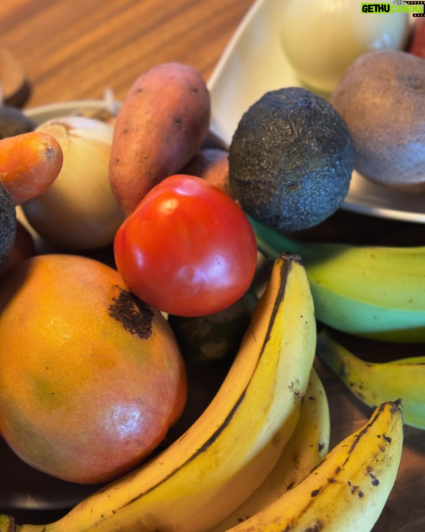 María Fernanda Yépes Instagram - Que el alimento sea tu medicina, la cocina tu laboratorio y la creación de tus platos alquimia divina✨✨✨ Enamorándome cada día más de este proceso y del arte de cocinar. Admiro Profundamente a los cocineros, chefs y amas de casa del mundo que hacen de la cocina un hermoso arte de entrega y pasión♥️🦾👩🏻🍳 que oficio tan duro, complejo y fascinante a la vez!!! Gracias @chefpablonaranjo por compartirme tu pasión y amor por este ARTE llamado COCINAR. Y a ti? Te gusta preparar tus alimentos?