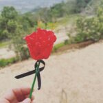 María Gracia Omegna Instagram - Comenzó el mes de la memoria. Y una flor en nombre de esa historia incompleta.