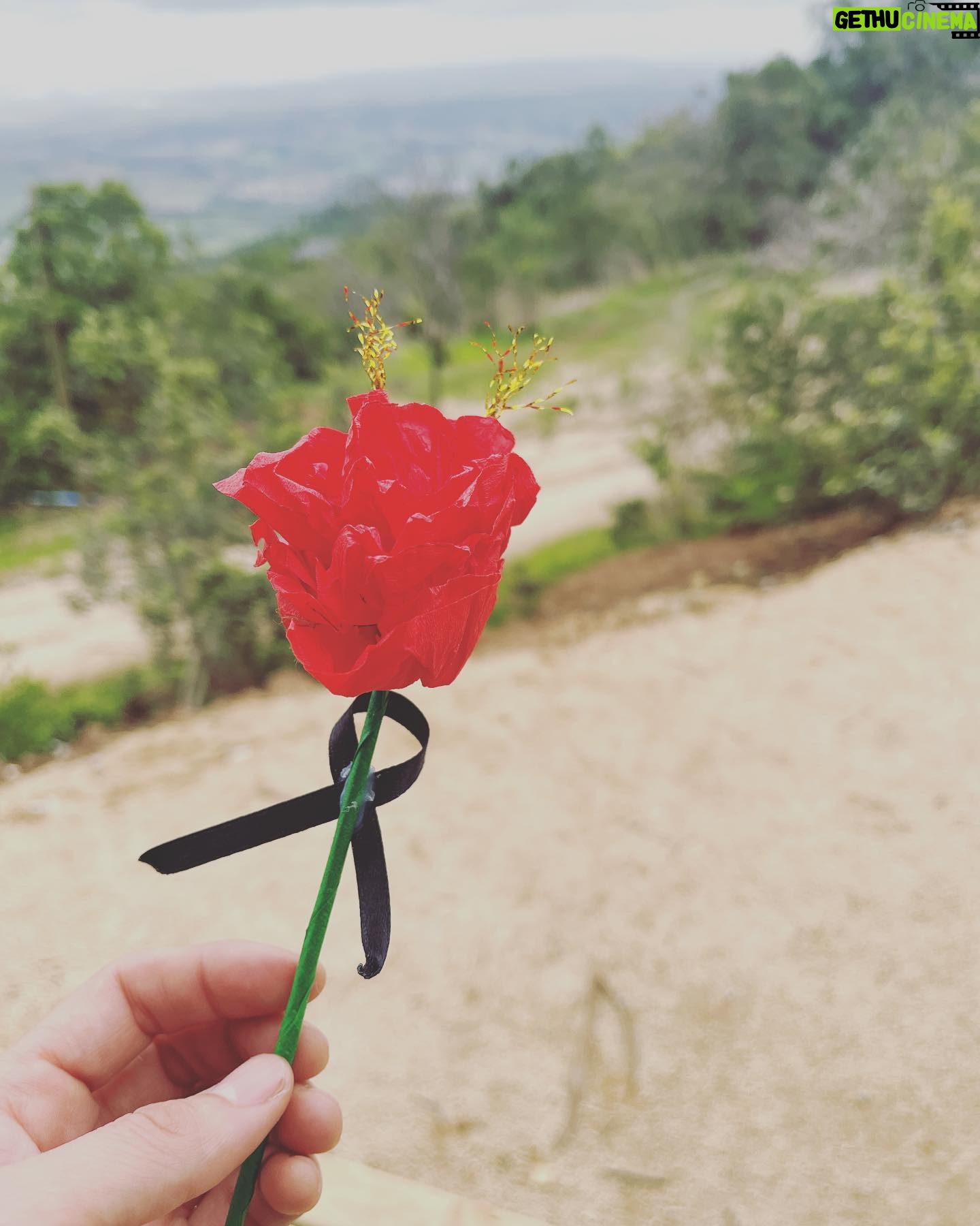 María Gracia Omegna Instagram - Comenzó el mes de la memoria. Y una flor en nombre de esa historia incompleta.