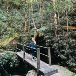 Marcela Fetter Instagram – Eu não tô um pouco apaixonada, eu tô MUITO apaixonada por Blue Mountains! A natureza é sempre surpreendente, a cada 10 minutos de trilha era um cenário completamente diferente e assim, cenário de FILME ENCANTADO! 🍂❤️