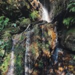 Marcela Fetter Instagram – Eu não tô um pouco apaixonada, eu tô MUITO apaixonada por Blue Mountains! A natureza é sempre surpreendente, a cada 10 minutos de trilha era um cenário completamente diferente e assim, cenário de FILME ENCANTADO! 🍂❤️