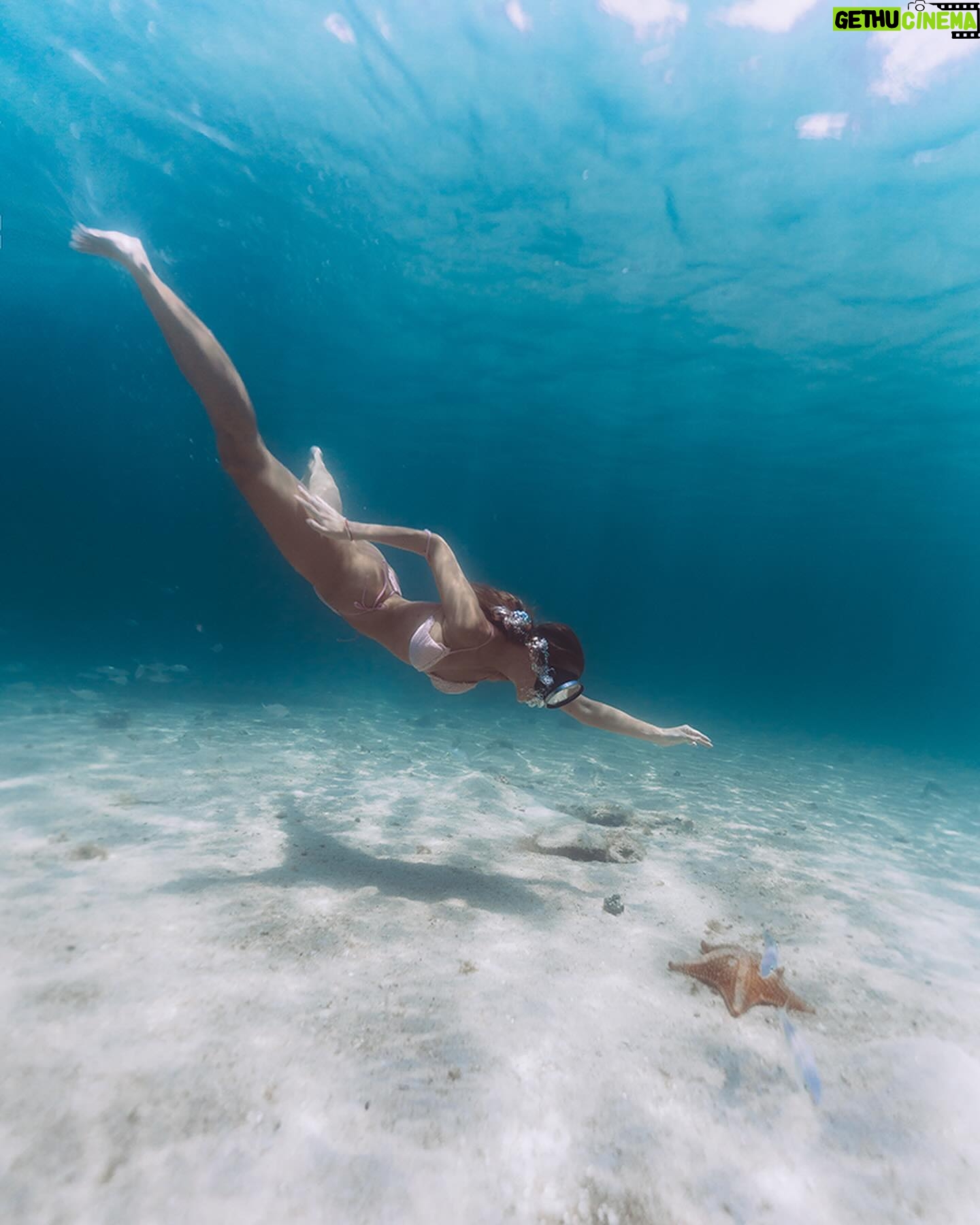 Margarida Corceiro Instagram - Hey there little starfish 🫧