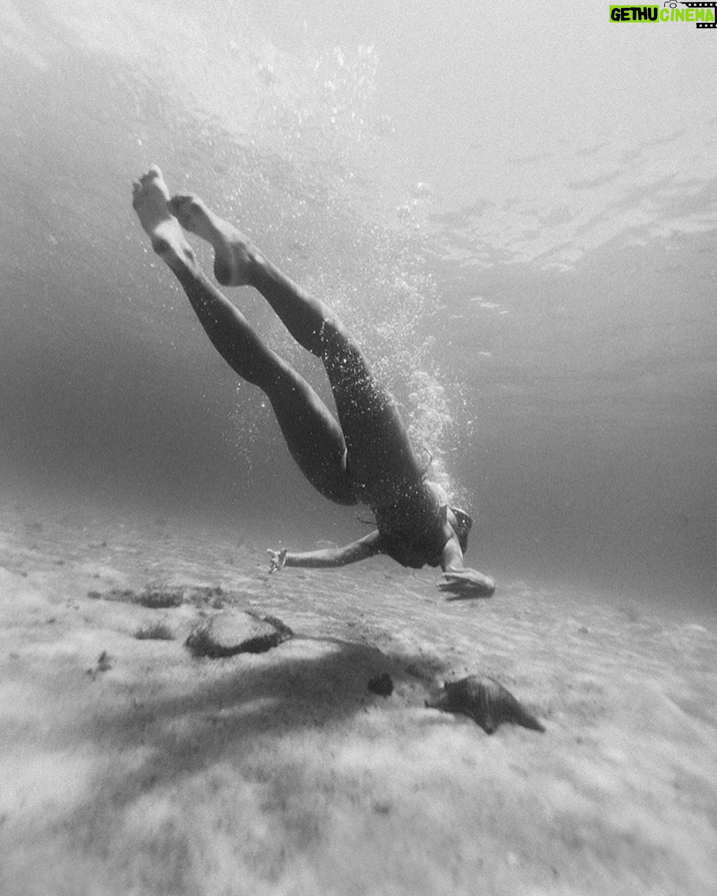 Margarida Corceiro Instagram - Hey there little starfish 🫧