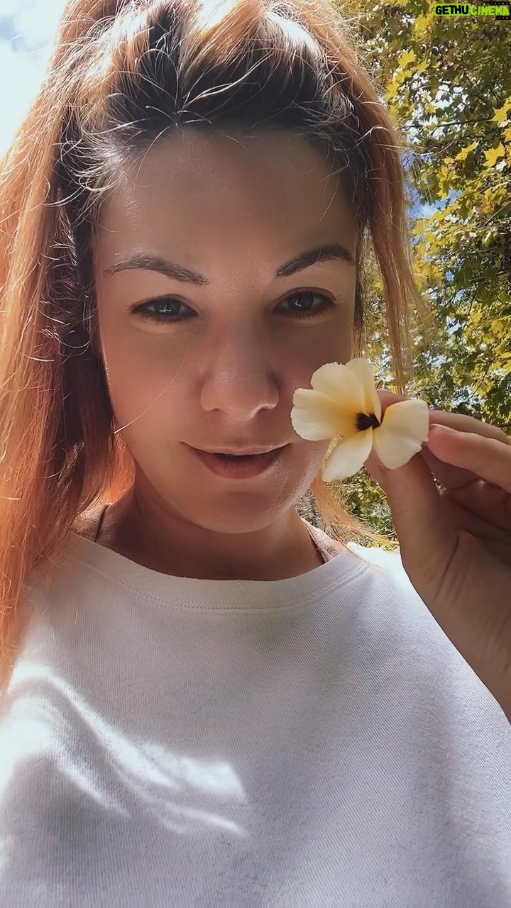 MariMoon Instagram - ✨🌈 Chanana é uma PANC (planta alimentÃcia não convencional). Dizem que auxilia no tratamento de problemas respiratórios por ter ação expectorante,que tem propriedades antidepressivas, que a flor melhora a função digestiva, que a planta tem ação antibacteriana e anti-inflamatória, pode auxiliar na melhora de infecções do trato urinário e ainda possui propriedades afrodisÃacas, que auxiliam no aumento da libido sexual. Fonte: tuacasa.com.br