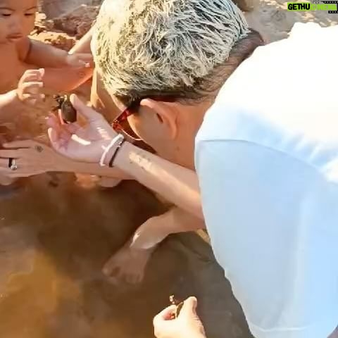 Maria Gadú - 14.1K Likes - No dia internacional das Florestas, meu coração se enche com esses registros. Alice conhecendo a Amazônia em janeiro deste ano. Mais do que um passeio, uma imersão ao lado de ativistas, ribeirinhos e indígenas na maior floresta tropical do planeta.
O brasil é Floresta, é Amazônia, é Mata Atlântica. As florestas são nossa riqueza maior, de pé, proporcionam água, temperatura, comida, medicina, empregos e arte. é uma infinita beleza. sempre junto @expedicaokaterre katerre
Preserve! Refloreste o planeta, sua cabeça e seu coração!
1- conhecendo uma esplendorosa Samaúma
2-toda linda com meu maiô de onça navegando de manhã bem cedinho
3- colaborando na soltura dos quelonios, projeto magnífico de tantos anos onde o ativista e educador Paul dedicou uma vida inteira
4- bem ribeirinha querendo paz
5- visitando a casa do tio PAUL e tia Bianca, dois amores que transformaram a história da educação no Rio Jauaperi
#florestasvivas