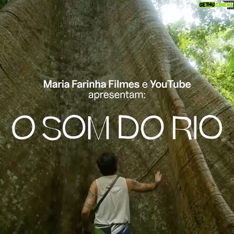 Maria Gadú - 10.9K Likes - Saiu hoje o terceiro episódio de “O Som Do Rio”!!!!!!!
Recebemos nessa parte da jornada o querido, importante, carinhoso, de talento sem fim @lenine , para complementar ainda mais essa troca gigante que estamos tendo!
Recebemos também a preciosa colaboração de @caetanoscannavino , com sua sabedoria conquistada nos tantos anos que mora e trabalha na região. Um grande ativista da floresta!!!
Somos recebidos pela maravilhosa Amanda Caroline e toda equipe do grupo Renascer, na comunidade São Domingos, para aprender sobre a extração e o uso da Andiroba, óleo poderoso que gera economia sustentável e tem preciosas propriedades medicinais.
São muitas emoções, caminhadas longas que dão de encontro a uma Samaúma gigante e ancestral, a condução impecável de seu Dito pela floresta, contos dos encantados, composição de música!!!!
Bora VERRRR!!!!!!
Nossa equipe é grande e esse é um trabalho coletivo, que tem parceria com o YOUTUBE e @mariafarinhafilmsbr!
Agradecer imensamente a minha irmãzinha @vall_munduruku e as @surarasdotapajos.
A generosidade de @thelminha @vitordicastro @lenine @fecastanhari @caetanoscannavino @kamikiakisedje @ericterena @jaciaraborari @carolquintanilha @loirocunha @luanalobo @marcosnisti @estellarenner @mari_oliva @joelmagoliveira @diogoguedes666 @betoneves @theladycath @jotapecosta_ @danilocarvalho_ @popi.itapema @turismoconaciente @cinema_brunamaria @maripmari @diaslorran @analucascao @thamivieirs @gateiropa @duda_portodesouza @bmaisca @andreafrancez @patmuracalfat @youtubebrasil @betoneves @manojayv @jonasbiiispo @ricardodias1976 @renato.gardel