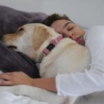 Maria Gadú Instagram – foram 16 anos. você comeu todo o taco da casa, nadou todo o mar da ilha grande, aprendeu a dar a pata e a latir depois de velha. tinha um cronograma diário imutável e ficava muito aflita se a gente não fizesse. carregou as crianças, ensinou todo mundo a sorrir, como você sorria né, Cuca? você tem a idade do meu primeiro disco, disco esse que você também comeu o primeiro. ensinou todo mundo a beber água regularmente, você era muito hidratada, neném. não sei se saberemos o tamanho da saudade que já sentimos, tambem difícil entender o tamanho do amor. que você descanse dessa agonia dos últimos meses. eu desejo que você nesse momento esteja correndo nos gramados do céu das cadelinhas, e nadando nadando infinito só que sem cansar a patinha traseira, e bebendo toda água mais pura do paraíso. que vc dance, Cuca. Vc dança dentro da gente, pra sempre! Descanse em paz, meu amor.
.
as fotos são da irmã @kontraluz , em sua casa. Onde cuica foi muuuito feliz!♥️😭