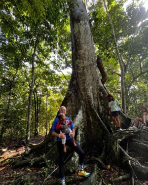 Maria Gadú Instagram - No dia internacional das Florestas, meu coração se enche com esses registros. Alice conhecendo a Amazônia em janeiro deste ano. Mais do que um passeio, uma imersão ao lado de ativistas, ribeirinhos e indígenas na maior floresta tropical do planeta. 

O brasil é Floresta, é Amazônia, é Mata Atlântica. As florestas são nossa riqueza maior, de pé, proporcionam água, temperatura, comida, medicina, empregos e arte. é uma infinita beleza. sempre junto @expedicaokaterre katerre

Preserve! Refloreste o planeta, sua cabeça e seu coração! 

1- conhecendo uma esplendorosa Samaúma

2-toda linda com meu maiô de onça navegando de manhã bem cedinho

3- colaborando na soltura dos quelonios, projeto magnífico de tantos anos onde o ativista e educador Paul dedicou uma vida inteira

4- bem ribeirinha querendo paz 

5- visitando a casa do tio PAUL e tia Bianca, dois amores que transformaram a história da educação no Rio Jauaperi
 
#florestasvivas