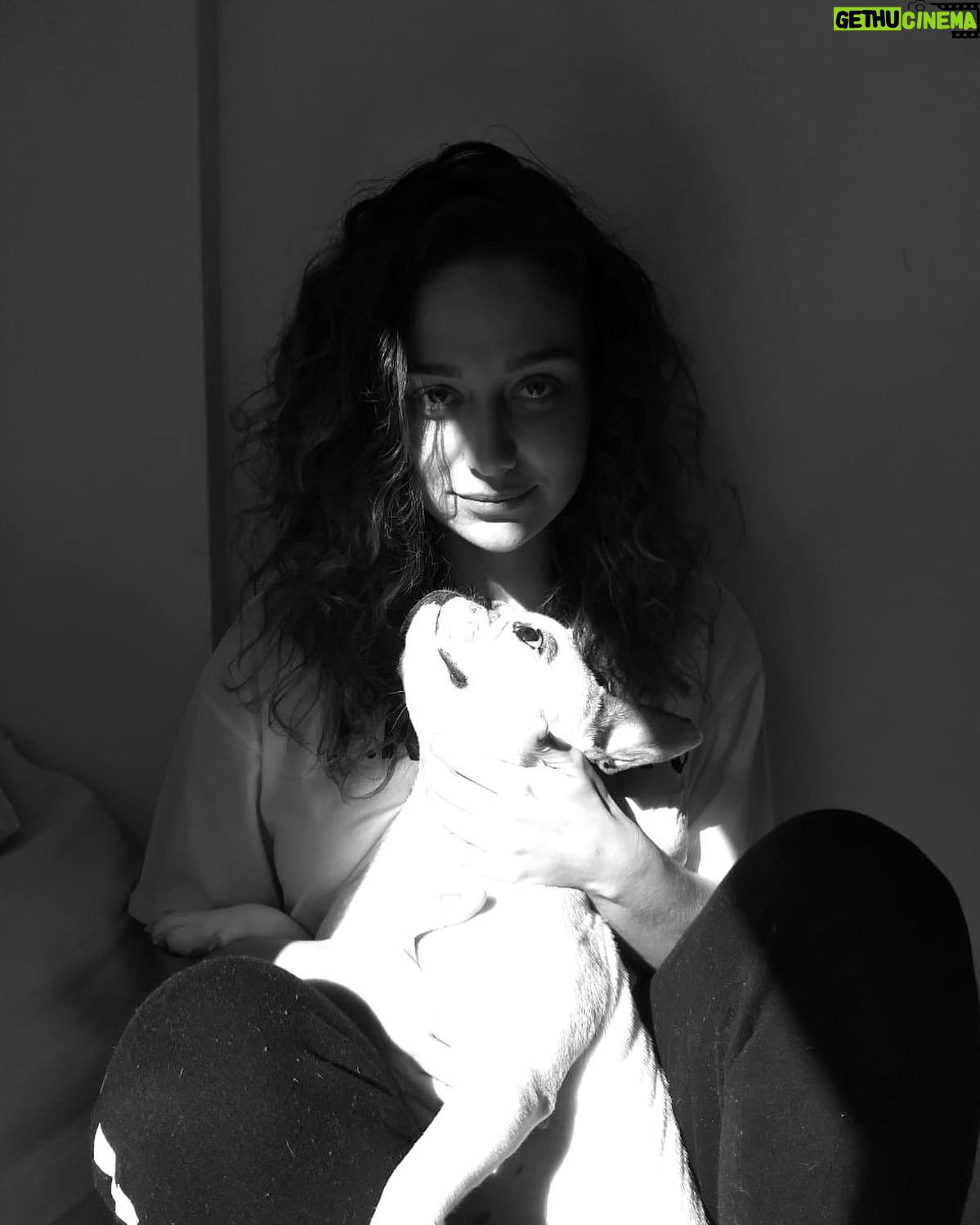 Maria Pinna Instagram - “Não existe amor comprado, conquistado; o amor de verdade é dado, ganhado. Você sempre procurou no lugar errado. Não sei te dizer o lugar certo. Quando e se eu descobrir… você será a primeira, a saber”. @eliasandreato16 (Trecho de Help! Uma comédia de Elias Andreato) 🎭🖼🎭.