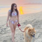 Mariana Botas Instagram - Sol, arena y mar… es todo lo que quiero ahora 🐶🐾✨💛💖🩵 . . @royalcaninmexico #increibleencadadetalle . #chasingsunsets #acapulco #migüeroyyo