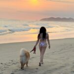 Mariana Botas Instagram - Sol, arena y mar… es todo lo que quiero ahora 🐶🐾✨💛💖🩵 . . @royalcaninmexico #increibleencadadetalle . #chasingsunsets #acapulco #migüeroyyo