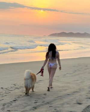 Mariana Botas Instagram - Sol, arena y mar… es todo lo que quiero ahora 🐶🐾✨💛💖🩵
.
. @royalcaninmexico #increibleencadadetalle 
. #chasingsunsets #acapulco #migüeroyyo
