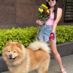 Mariana Botas Instagram - I can buy myself 💐… 🐶💛🌻 . . Mi güero y yo @royalcaninmexico #increibleencadadetalle