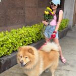 Mariana Botas Instagram - I can buy myself 💐… 🐶💛🌻 . . Mi güero y yo @royalcaninmexico #increibleencadadetalle