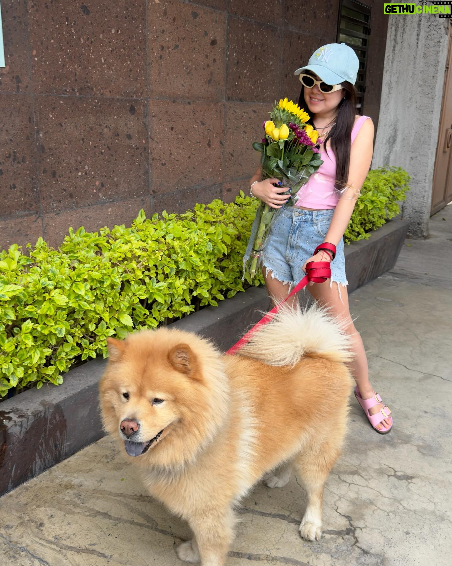 Mariana Botas Instagram - I can buy myself ๐โฆ ๐ถ๐๐ป . . Mi gรผero y yo @royalcaninmexico #increibleencadadetalle